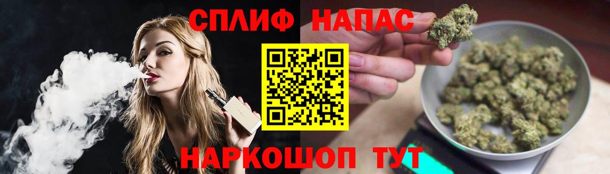 Канабис сатива Коммунар